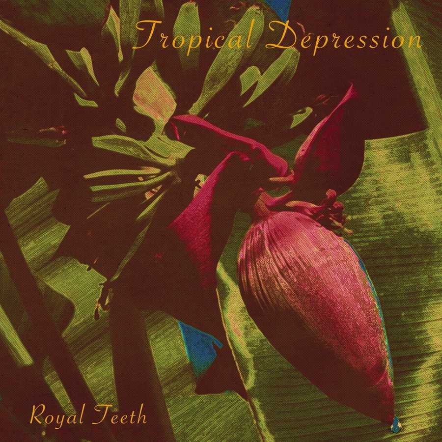 Royal Teeth - Tropical Depression
